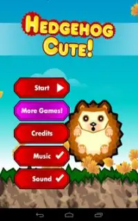 Hedgehog Cute (free with ads) Screen Shot 12