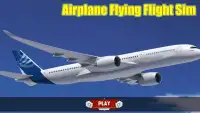 Airplane Flying Flight Sim Screen Shot 0