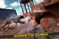 Anjing Balap Hewan Peliharaan Screen Shot 1