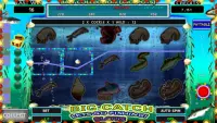 Big Catch Fishing Slots Screen Shot 1