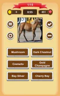 Horse Coat Colors Quiz Screen Shot 8