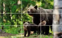 Tile Puzzle - Bears Screen Shot 2