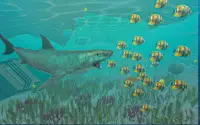 Shark  World Simulator Hungry Attack Screen Shot 0