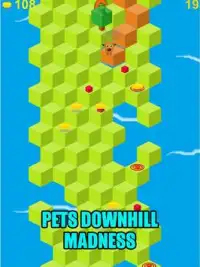 Pets Downhill Madness - Game Screen Shot 10