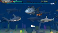 Shark Bite Screen Shot 4