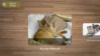 Susun Suai Gambar - Permainan Kucing Screen Shot 1