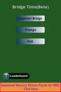 Bridge Challenge Screen Shot 2