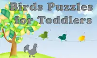 Birds Puzzles for Toddlers ! Screen Shot 6