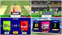 Aussies Cricket Championship Screen Shot 3