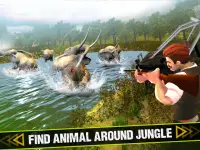 Animal Hunter Safari Sniper Screen Shot 3
