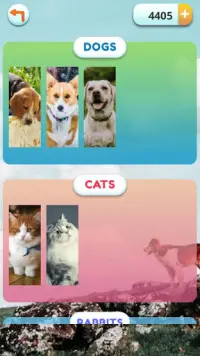 Word Pets Screen Shot 4