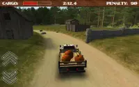 Dirt Road Trucker 3D Screen Shot 5