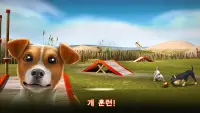 DogHotel – 강아지와 놀기, 사육장 관리 Screen Shot 4