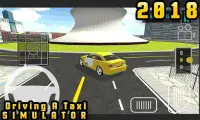 Driving a Taxi Simulator 2018 Screen Shot 3