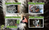 Free Kitty Cat Puzzle Games Screen Shot 2