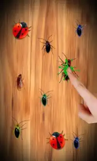 Cockroach Smasher Free Screen Shot 2