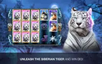 Slots Super Tiger Casino Slots Screen Shot 9