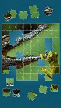 Animals Jigsaw Puzzle Screen Shot 13