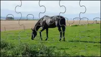 Black Horse Jigsaw Puzzles Game Screen Shot 5