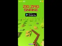 ZigZag Snake Screen Shot 0