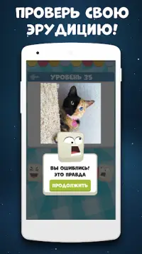 Викторина: игра без интернета Screen Shot 3