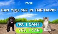 Test what cat or dog am I? Animal simulator Screen Shot 1