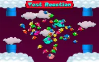 Smash Birds 3:Free Cool Game Screen Shot 3