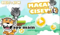 maung vs macan cisewu Screen Shot 0