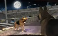 City Gangster Dog San Andreas Crime Street Fight Screen Shot 9