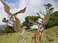 Flying Cheetah Wild Sim Screen Shot 1