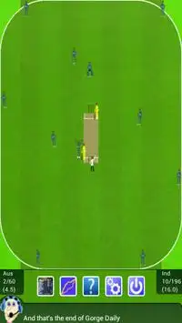 The Best Cricket Game Ever Screen Shot 5