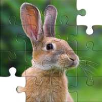 Animal Jigsaw Puzzles