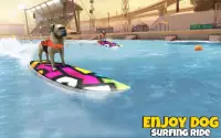 Dog Surfing Championship California 2019 Screen Shot 1