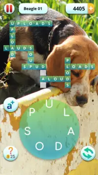 Word Pets Screen Shot 3