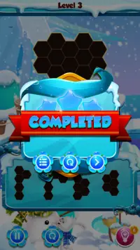 Ice Hexa Block Puzzle 2020 Screen Shot 7