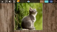 Jigsaw Puzzle: Classic Screen Shot 1