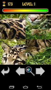 Big Cats Puzzles – Free Jigsaw Screen Shot 3