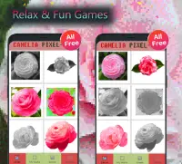 Camelia Color By Number-Flowers Pixel Art Screen Shot 3
