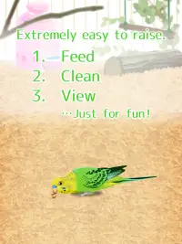 Parakeet Pet Screen Shot 7