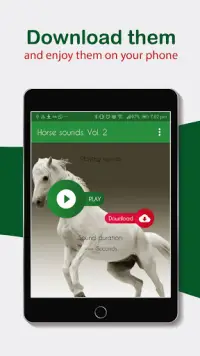 Horses Sounds for Cell Phone free. Screen Shot 7
