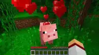 Pets Pretty Ideas - Minecraft Screen Shot 8