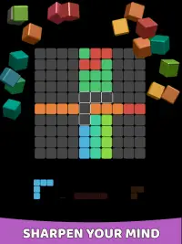100 Block Puzzle Classic Screen Shot 11