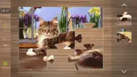Juegos Gratis de Rompecabezas de Gatos Screen Shot 2