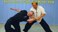 Tai Chi Martial Applications Screen Shot 0