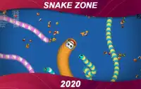 Snake Zone : worm snake zone 2020 Screen Shot 0