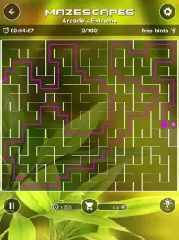 Mazescapes Amazing Maze Screen Shot 12