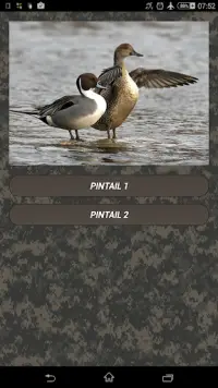 Duck hunting calls Screen Shot 0