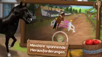 HorseHotel Premium - Pferdespiel für Pferdefreunde Screen Shot 2