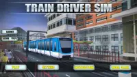 Train Driver Sim Screen Shot 0
