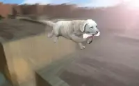 Dog Stunts & Simulator 3D - Juegos de Crazy Dog Screen Shot 8